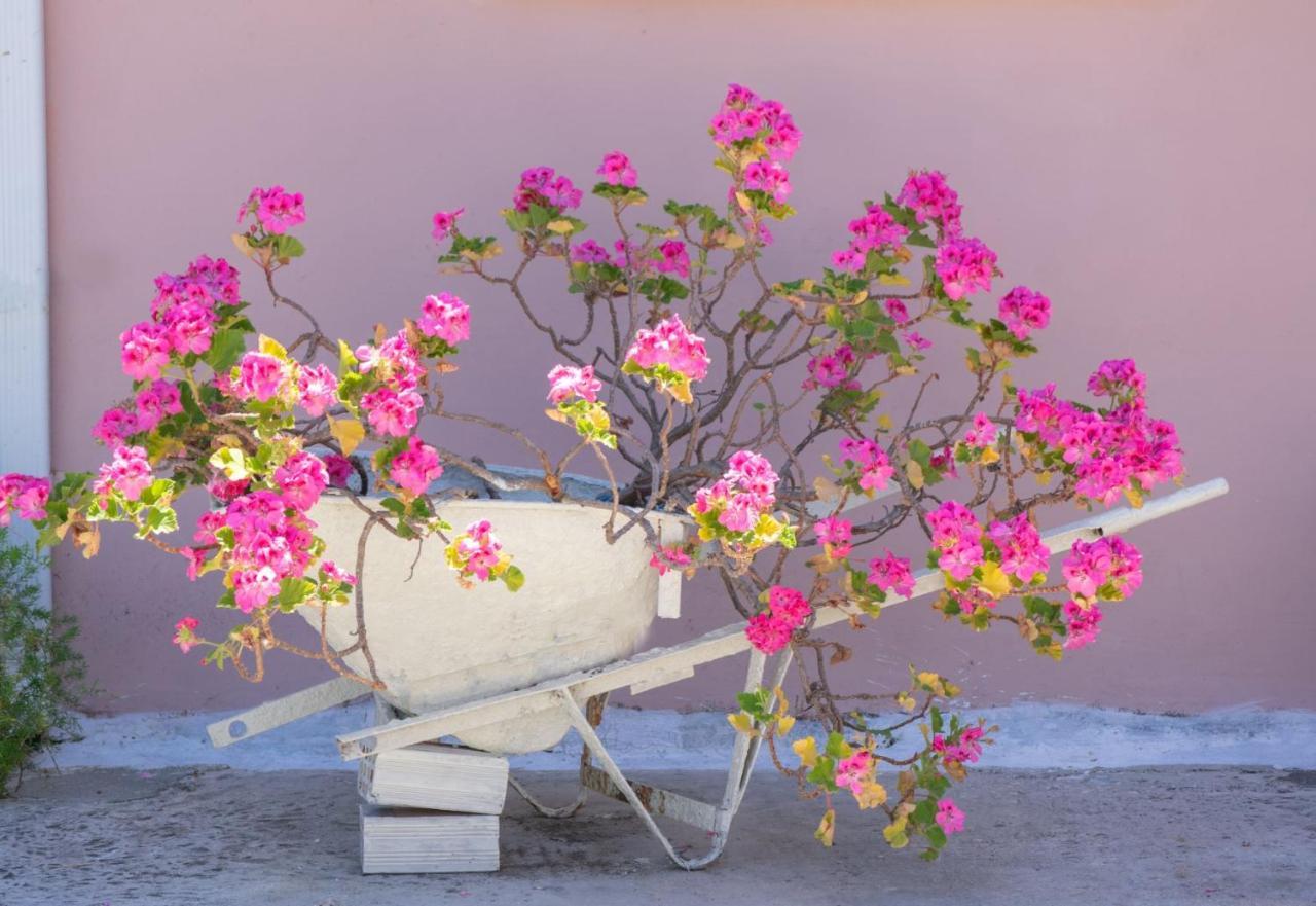 Doras Beach Bungalow B By "Elite" พลานอส ภายนอก รูปภาพ